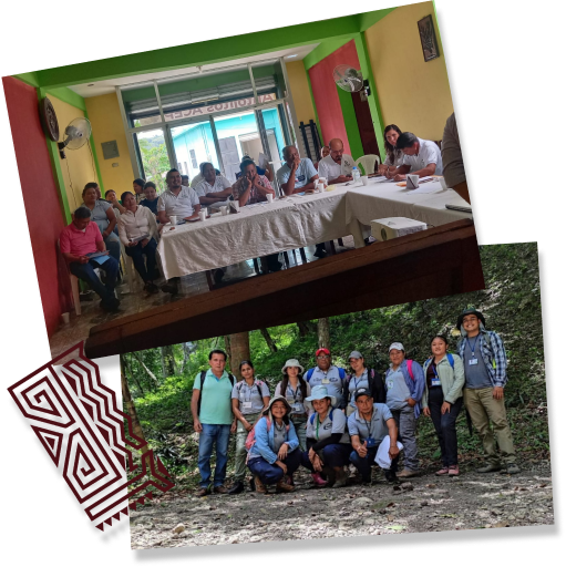Nosotros Somos ACEP